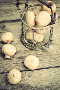 Vintage Mushrooms