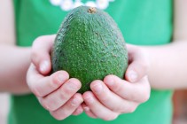 Held Avocado