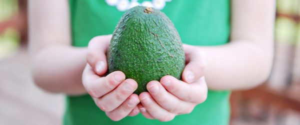 Held Avocado