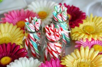Tablescape candy sticks