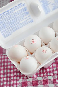 eb eggs