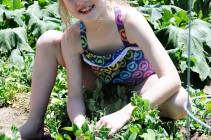 Kelly garden