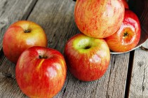 Apples Vert