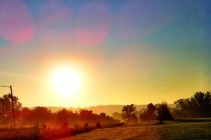 sun