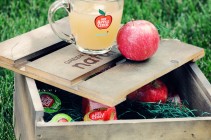 Cider Cosmo Vingette