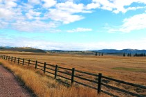 Montana 1