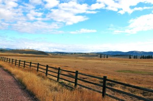 Montana 1