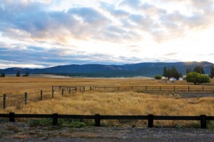 Montana 2
