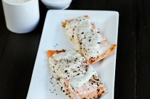 Salmon