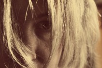Bedhead