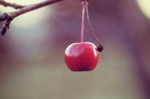 Small Berry