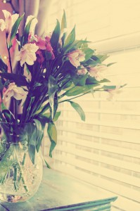 Jan 1 Flowers
