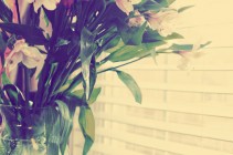 Jan 1 Flowers