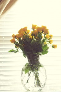 Jan Flowers