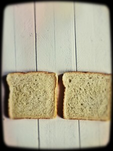 cheese1