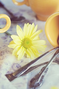 yellow flower