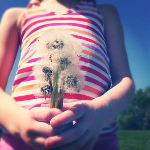 4-1 Flowers Kel