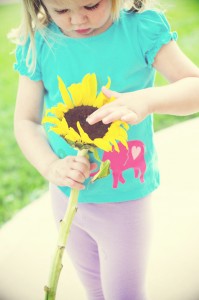 4-17-12Sunflower