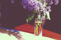 4-8Lilacs