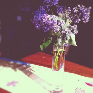 4-8Lilacs