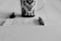 B&W Day 1 Lines