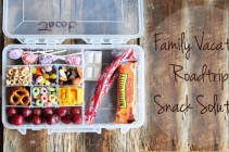 Family Vacation Road Trip Snack Solution for Kids