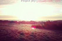 Project 365 January 13-19th www.dineanddish.net