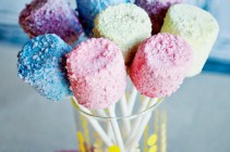 Skittles Marshmallow Pops www.dineanddish.net