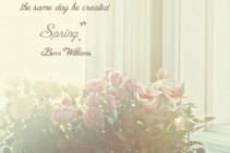 Harry & David Mini Roses Giveaway