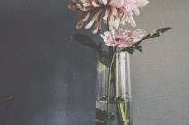 8653928504_fd4165ff7a_o