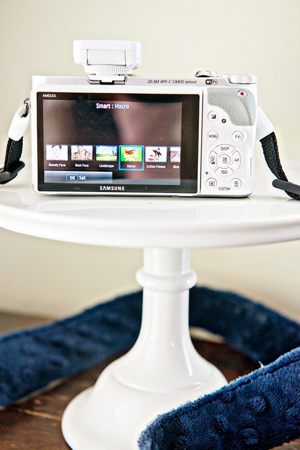 Læge lustre Comorama I LOVE This Camera - Samsung NX300 Camera - Dine and Dish